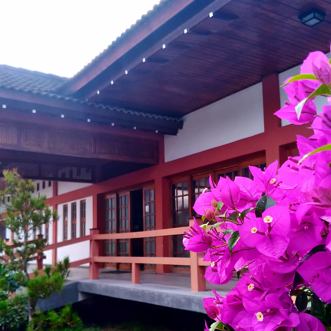 ohayō gozaimasu